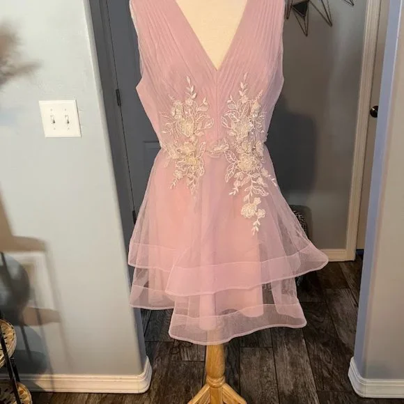 NWT 398 BCBG MAXAZRIA DRESS TIERED PALE PINK EMBROIDERY LACE TULLE. Size 12 - Picture 2 of 6